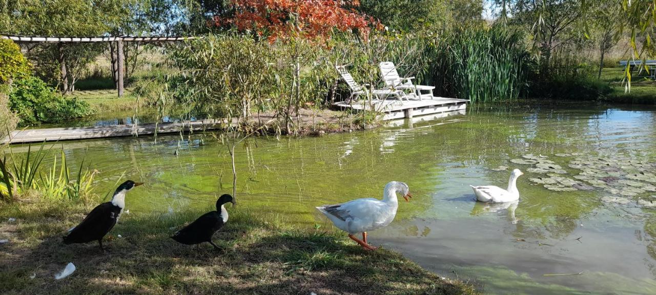 El Tramway Casa Antigua De Campo Panzió San Antonio de Areco Kültér fotó