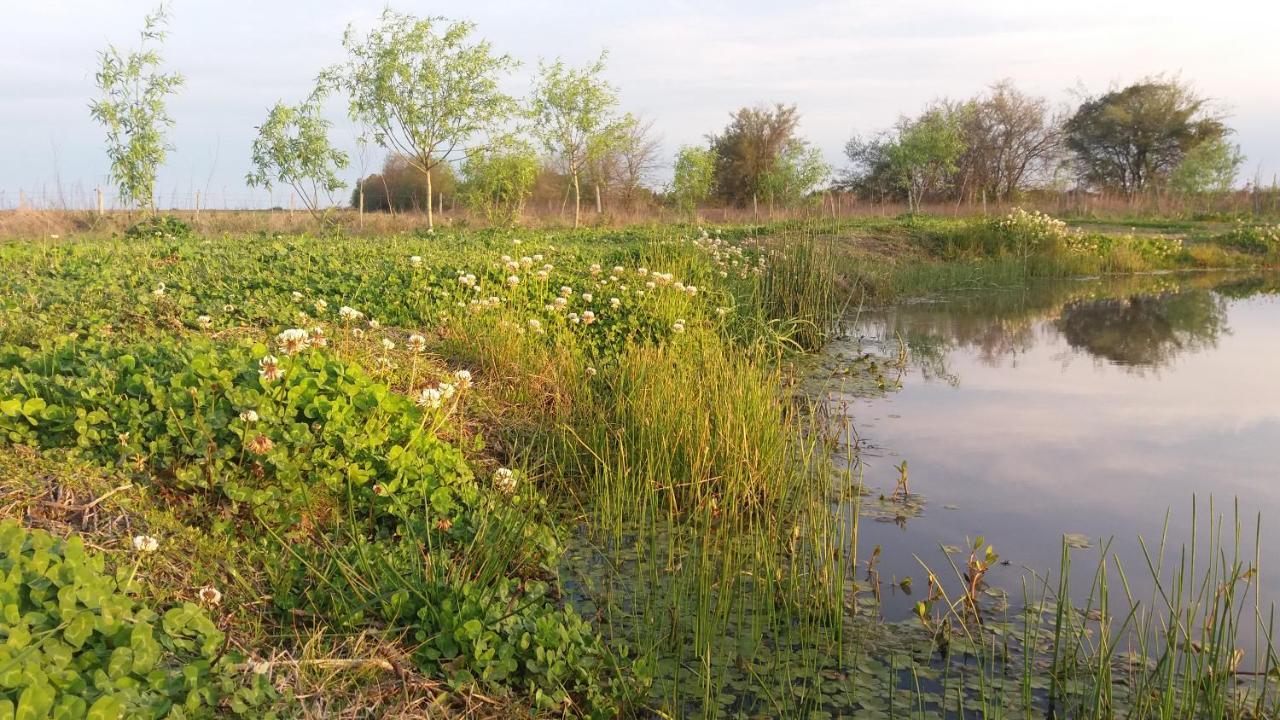 El Tramway Casa Antigua De Campo Panzió San Antonio de Areco Kültér fotó